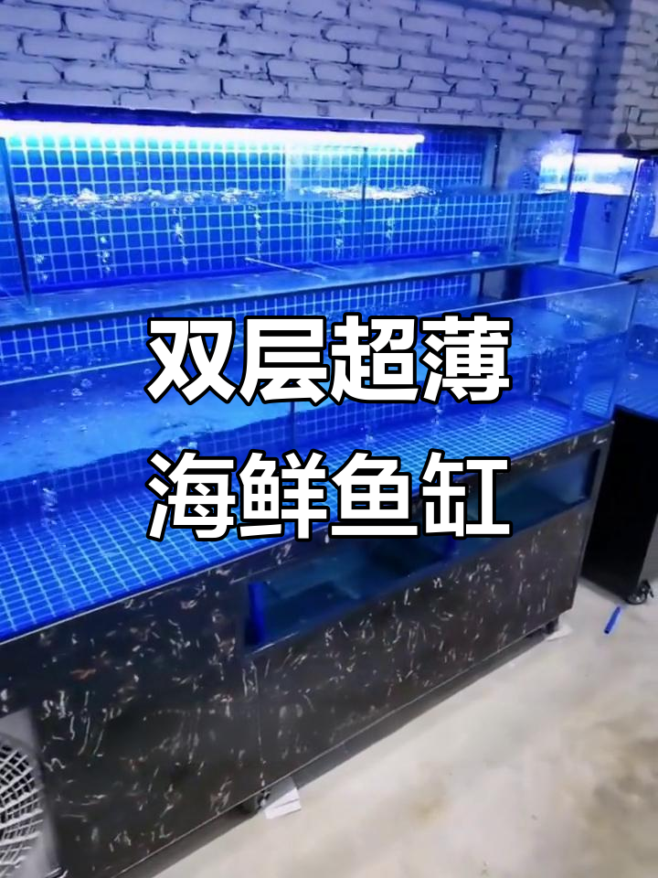 超薄海鲜池设计,双层结构不占空间