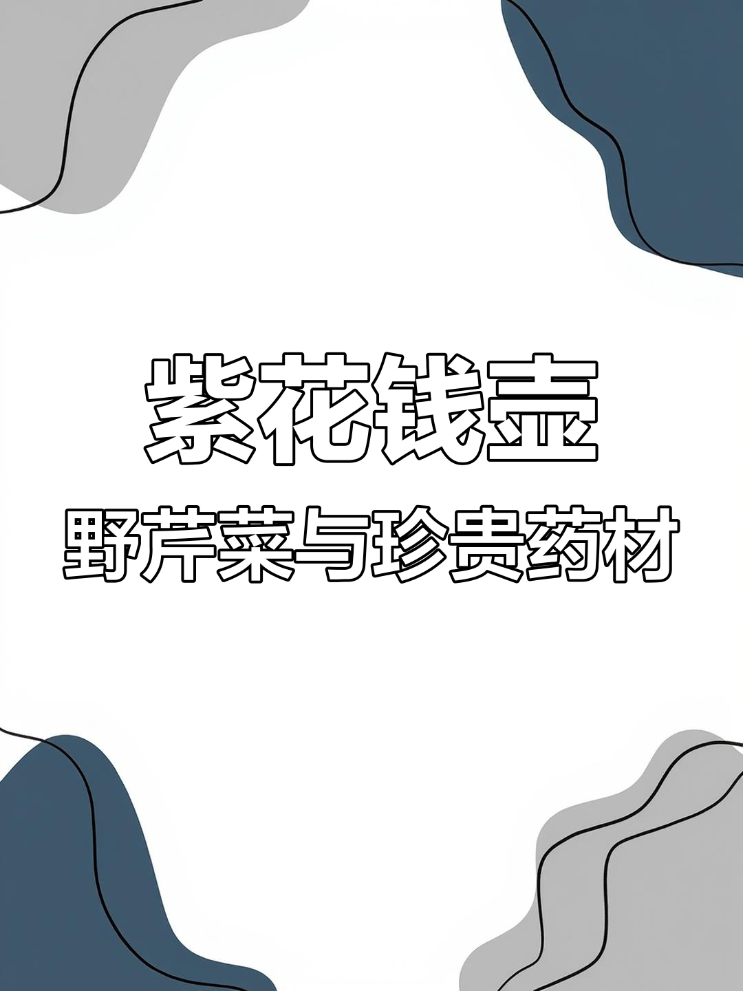 山坡草丛中的“土当归”,花似香菜,根是名贵药材