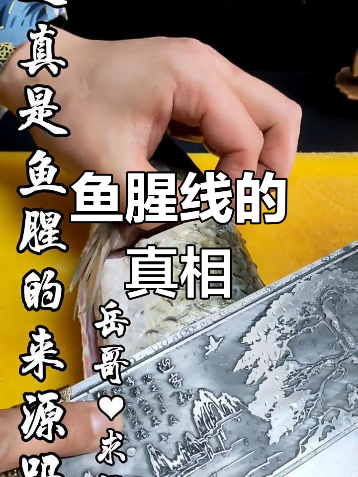 鱼腥线到底在哪?揭秘鱼肉去腥的秘密