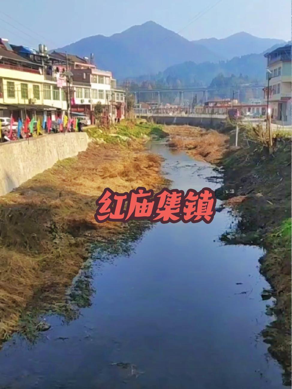 汉中乡镇寻年味,红庙赶集吃红糖糍粑 小镇生活 创作者中心 创作灵感 地方特色美食 人间烟火