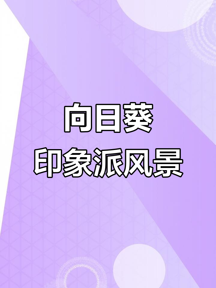 印象派风景画《向日葵自创篇③》：30×40油画创作