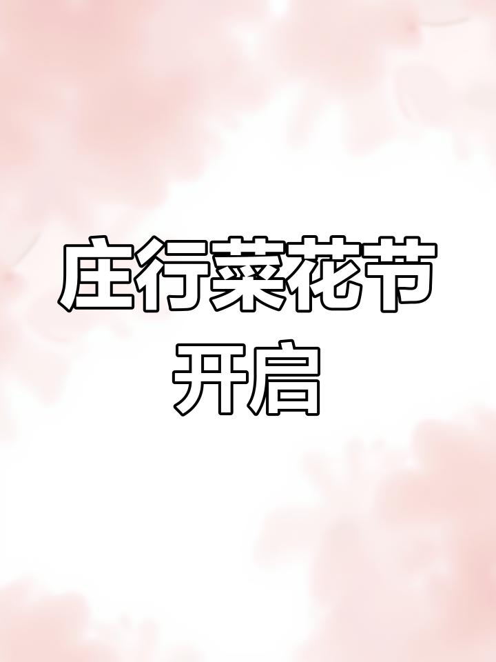 庄行菜花节开幕,周末油菜花香等你来探!