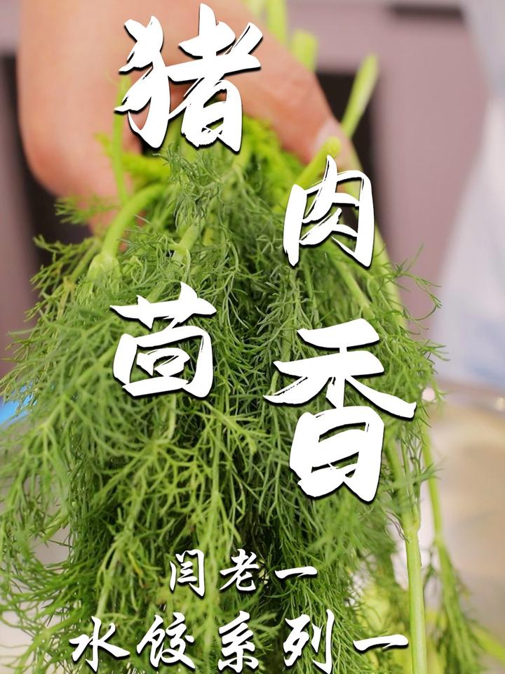 味美多汁的猪肉小茴香水饺教程新鲜出炉,操作简单