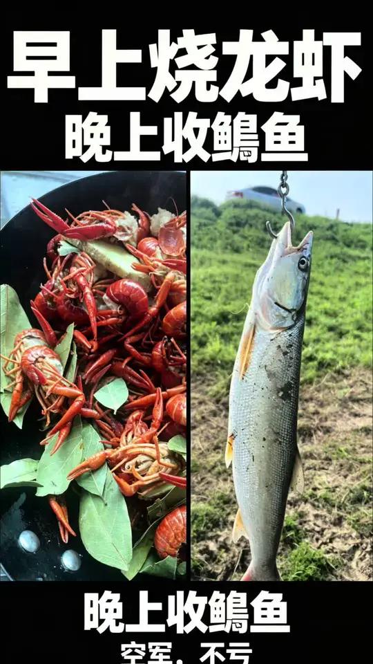早上烧龙虾，白天收鳡鱼晚上收鲤鱼#钓鱼 #夜钓 #兆河 #记录真实生活 #钓鱼人的一天