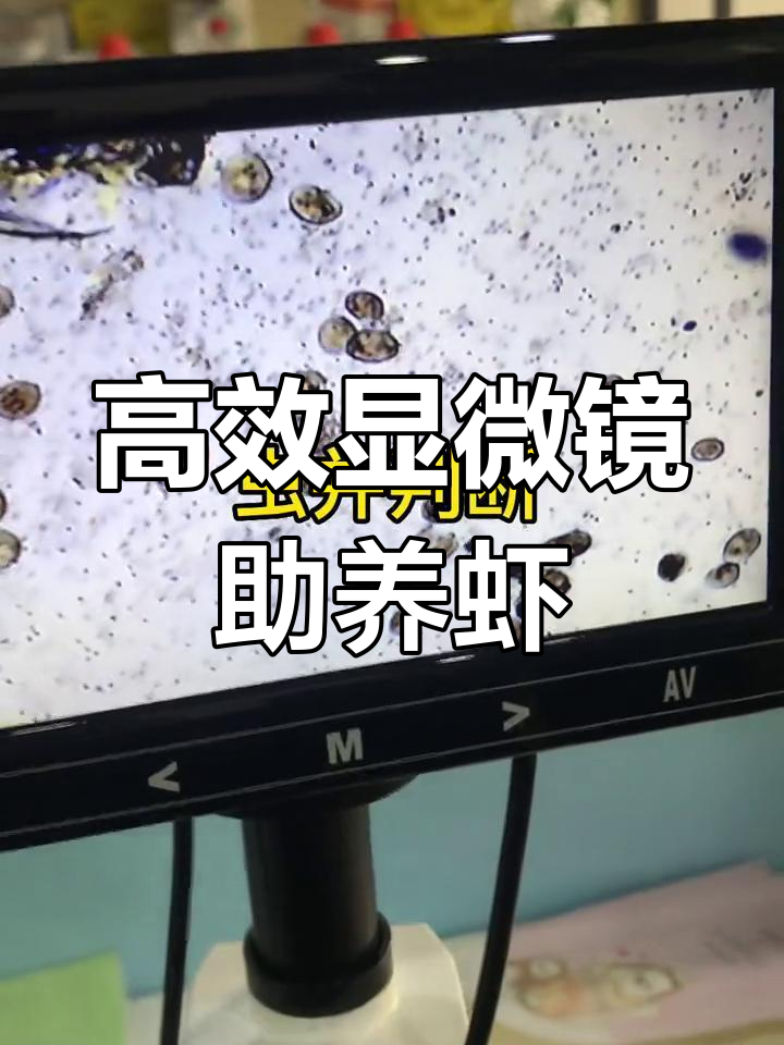 专业显微镜助力水产养殖,提升观察力