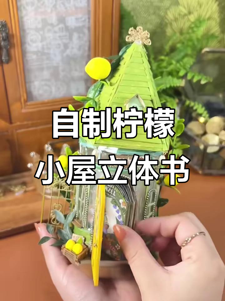 柠檬小屋立体书制作,打开门页像进入童话世界