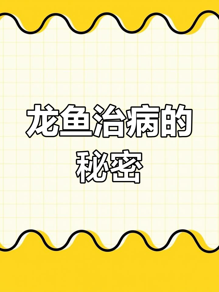 长江三峡龙鱼治病,孝顺孩子为母寻药