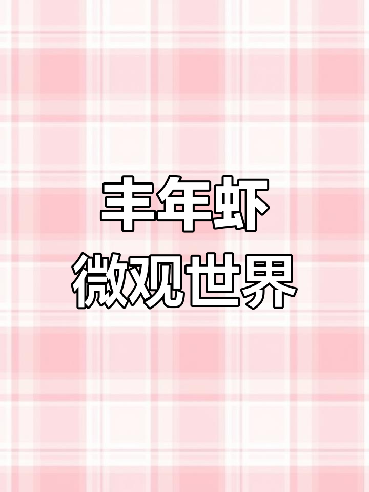 显微镜下的丰年虾,小鱼苗的天然美味