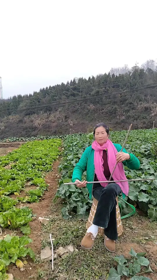 65岁阿姨学拉二胡,看到油菜花长势好开心谢老铁