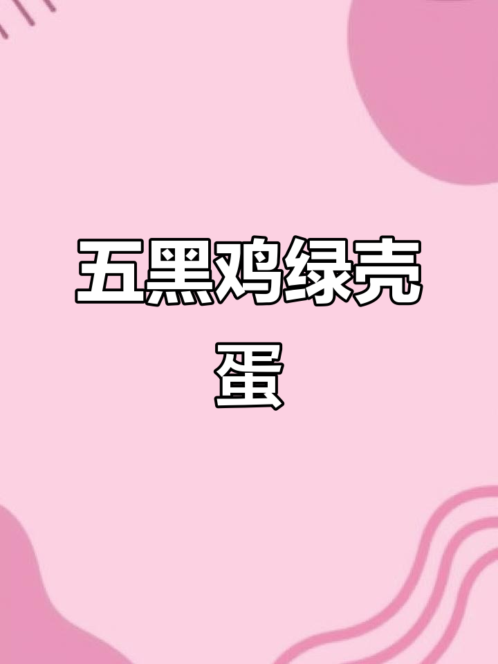 五黑鸡绿壳蛋,营养丰富,一天一枚健康又美味