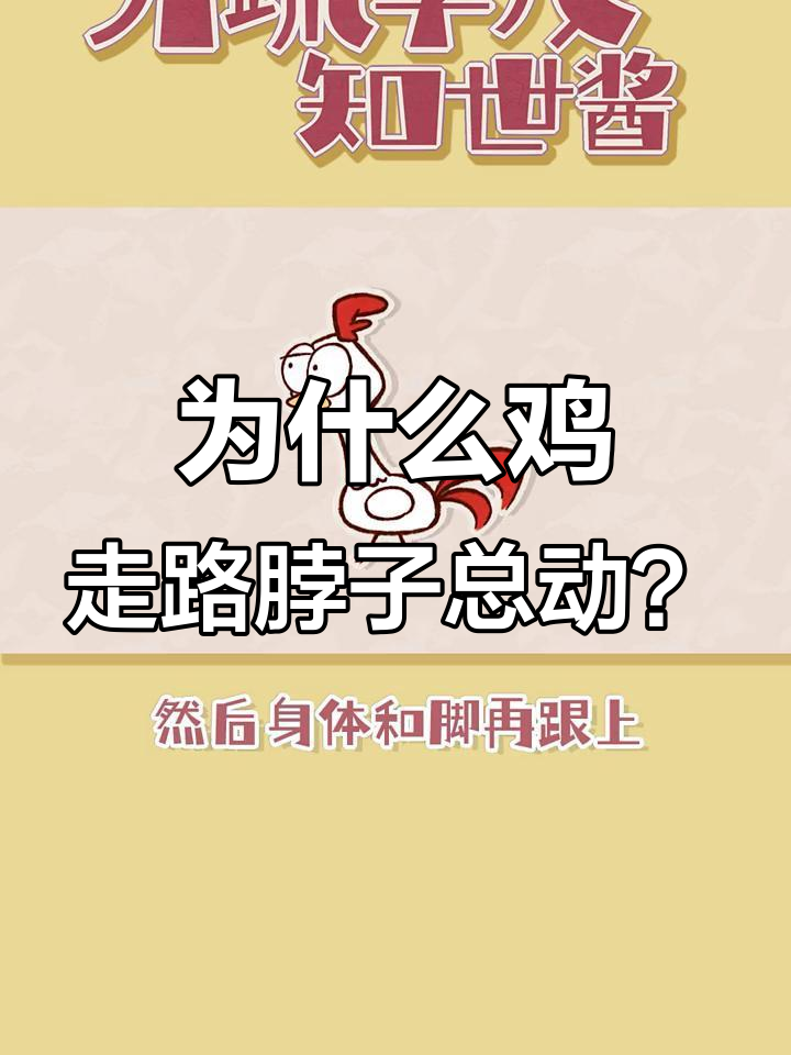 鸡走路脖子一颠一颠的,背后真相竟然是这样!