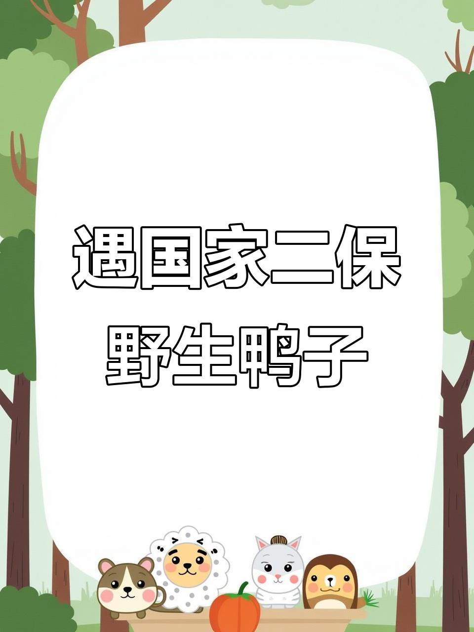 发现罕见野鸭，竟是国家二级保护动物！赶紧带它们逃命去吧