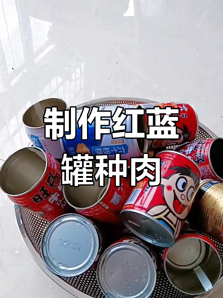 红牛罐与旺仔罐打孔技巧,轻松种植多肉