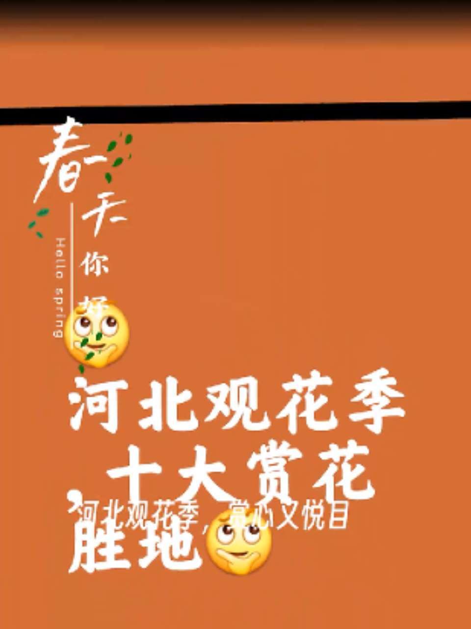 河北观花季十大景点涵盖了多种花卉和自然景观,以下是根据花卉种类和观赏特色推荐的十大景点:一