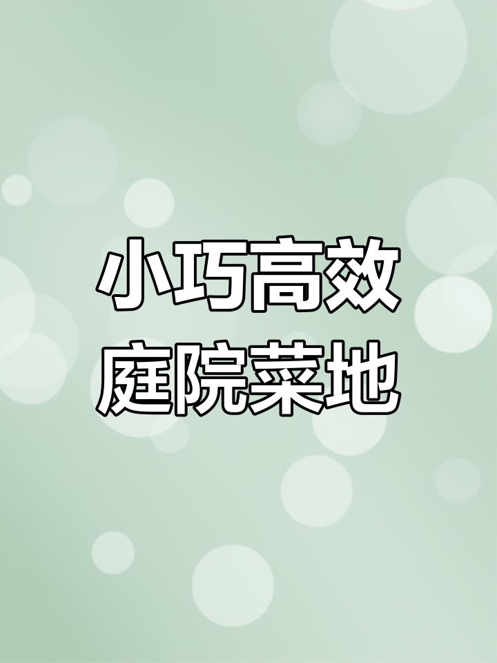 庭院菜地设计全攻略,美观又实用