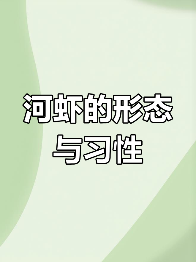 日本沼虾:河流中的青灰色生物