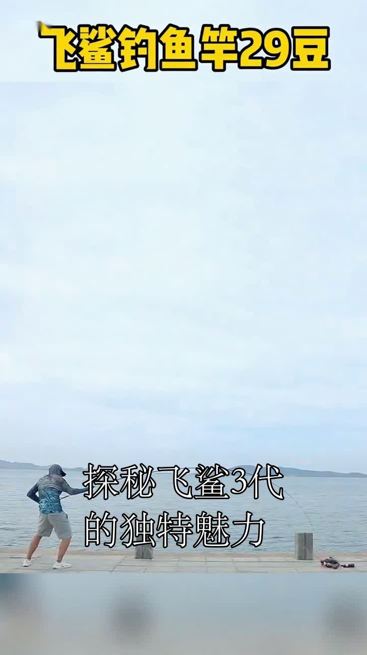 探秘飞鲨3代的独特魅力