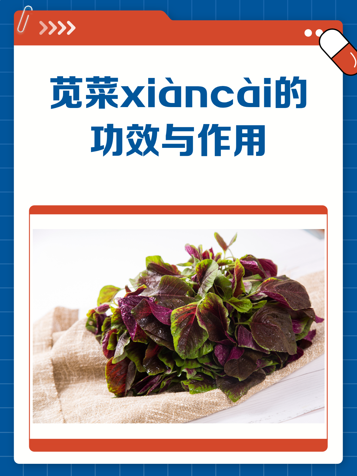 苋菜怎么读？还有这些功效你不可不知！
