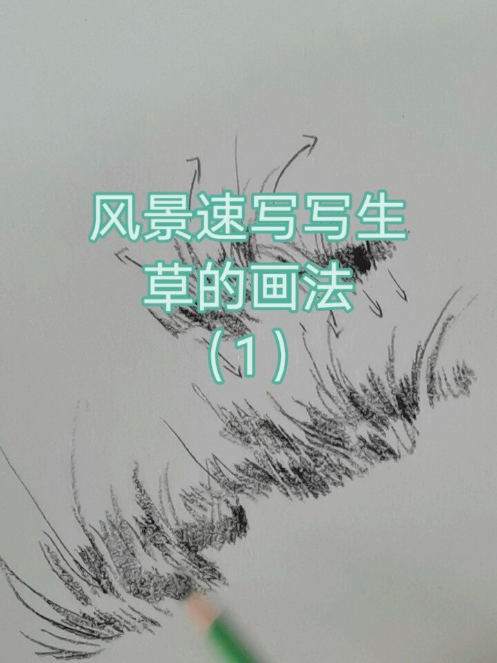 风景速写写生|草的画法1(教程)