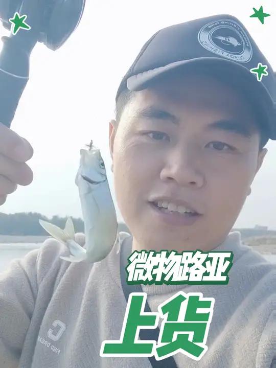 时隔半年,再次游钓西河,鱼情发生了天翻地覆的变化,围满了手竿 路亚佬寥寥无几,不过泥凡子鱼