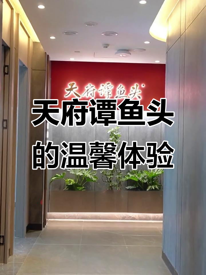 舒适环境与经典火锅的完美结合,天府谭鱼头带您享受身心的放松