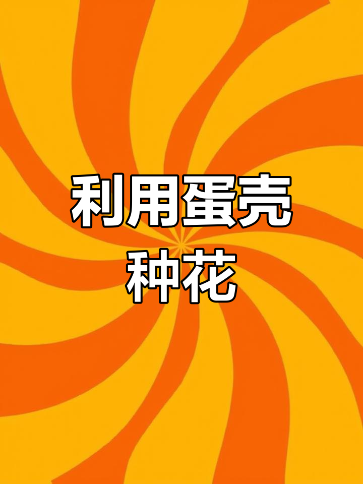 废鸡蛋壳变迷你盆栽,简单几步教你DIY多肉植物