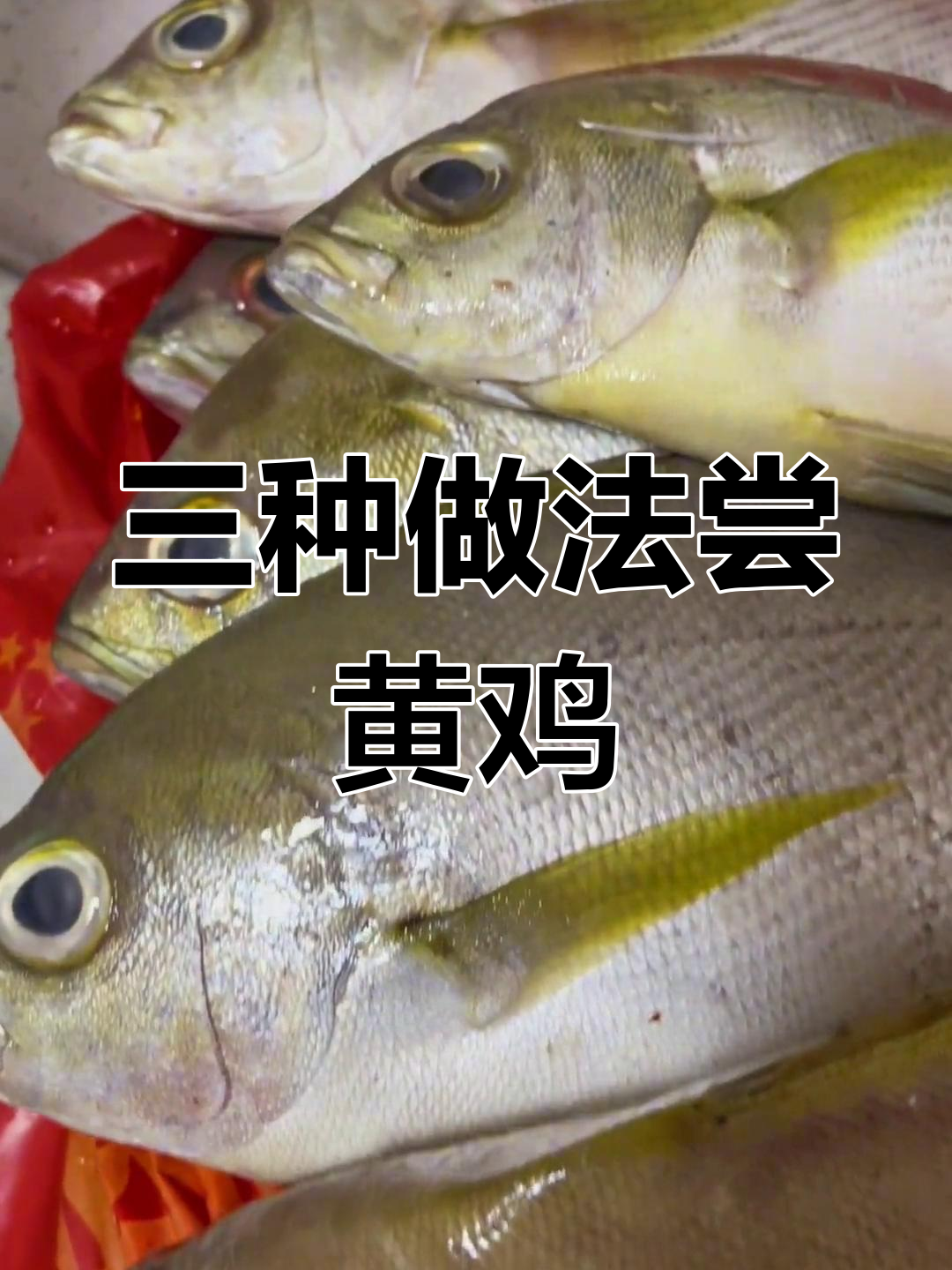 黄鸡鱼三吃法,清蒸香煎大比拼,新鲜才是王道