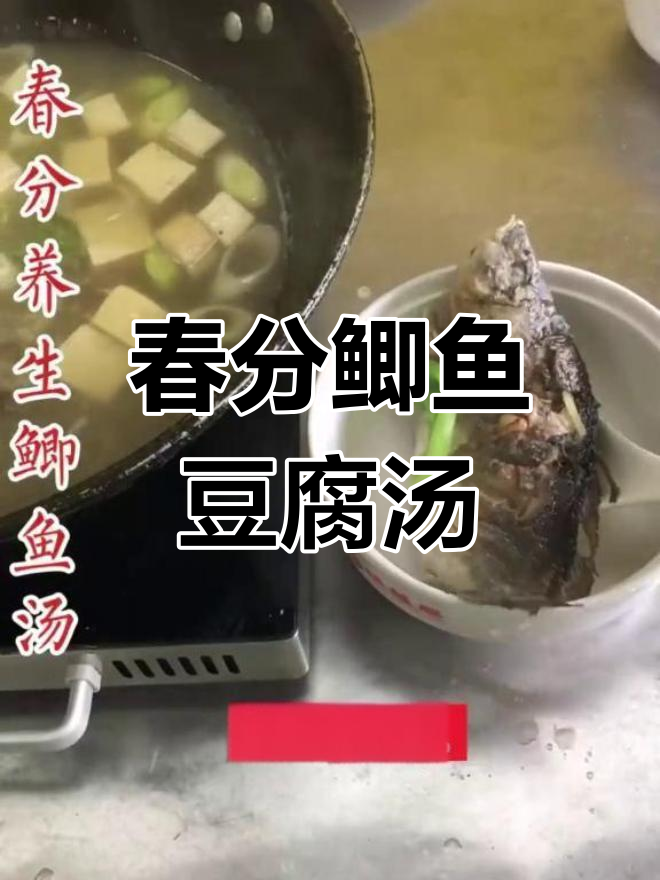 春分养生鲫鱼豆腐汤,滋补美味