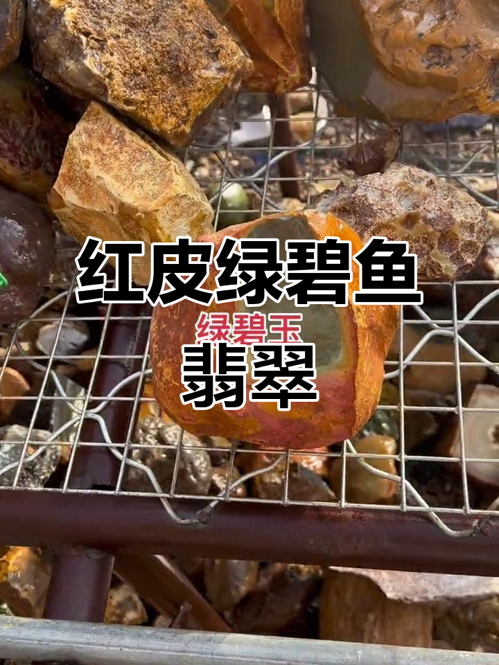 完整红皮绿碧鱼翡翠原石,天然完美呈现