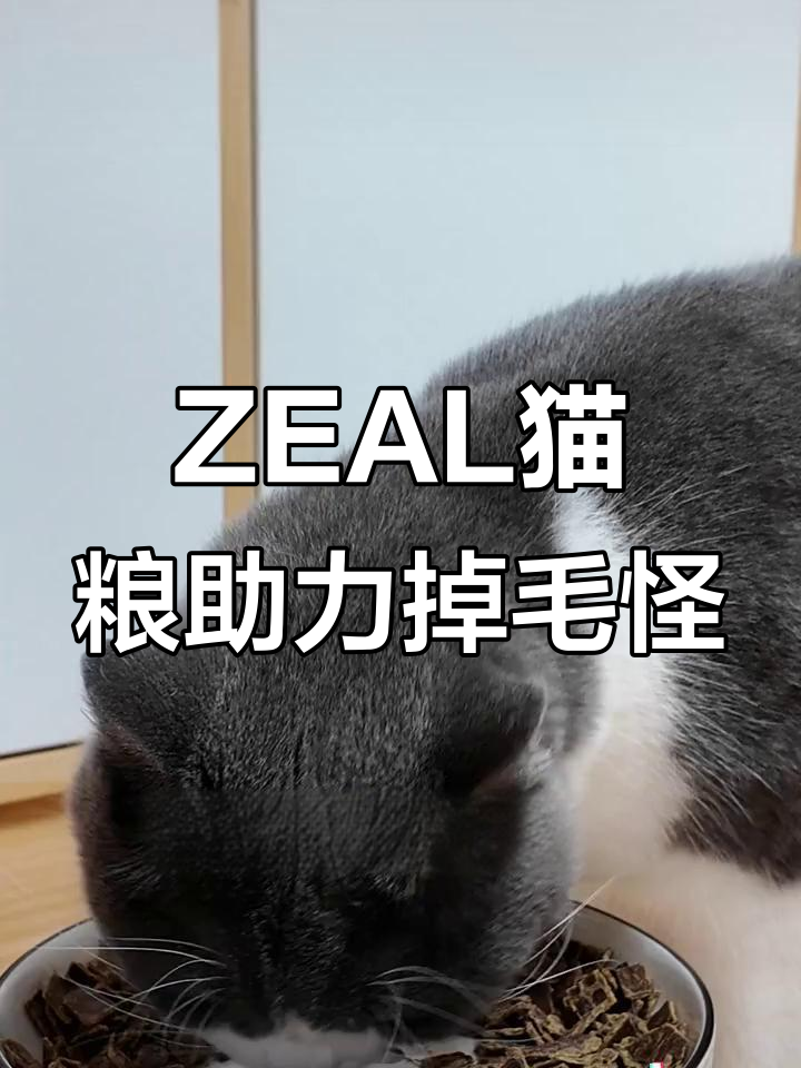 这款ZEAL风干粮,让猫咪毛发亮丽不掉毛