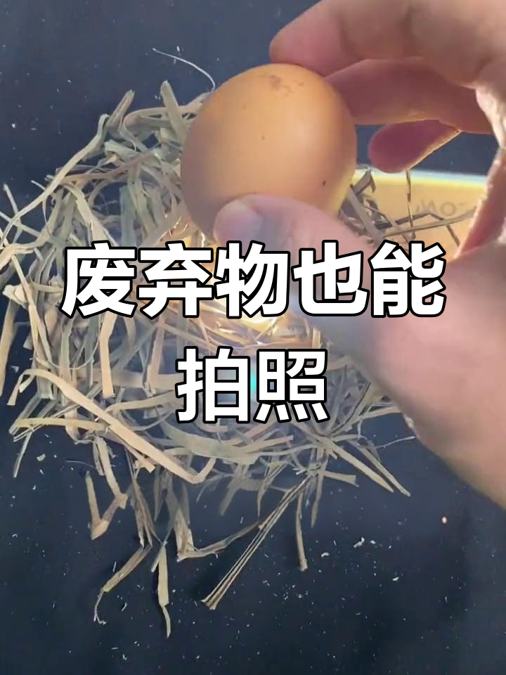 用废纸箱和鸡蛋拍出创意照片,试试这个简单方法