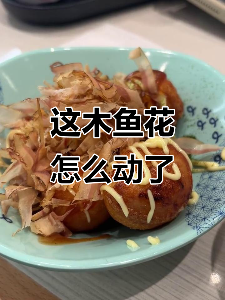 木鱼花竟然一直在动,太神奇了!