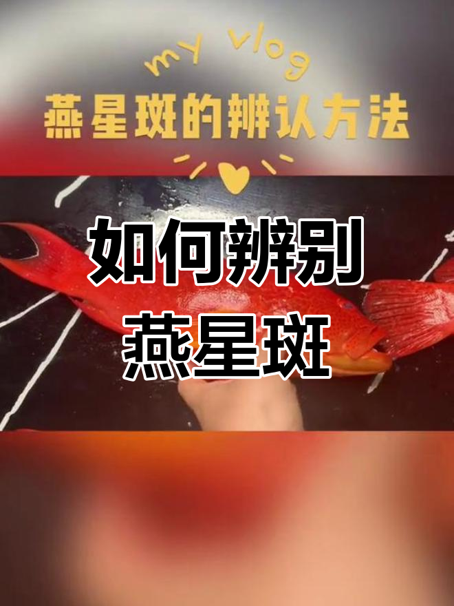 燕星斑与东星斑的区别解析