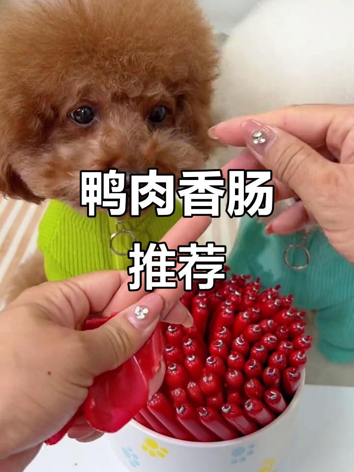 选鸭肉香肠,清热又营养,帮助狗狗减少泪痕问题