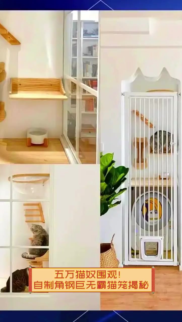 五万猫奴围观!自制角钢巨无霸猫笼揭秘