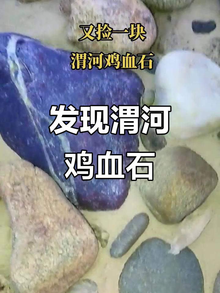 渭河鸡血石捡拾记,收藏与雕刻两相宜
