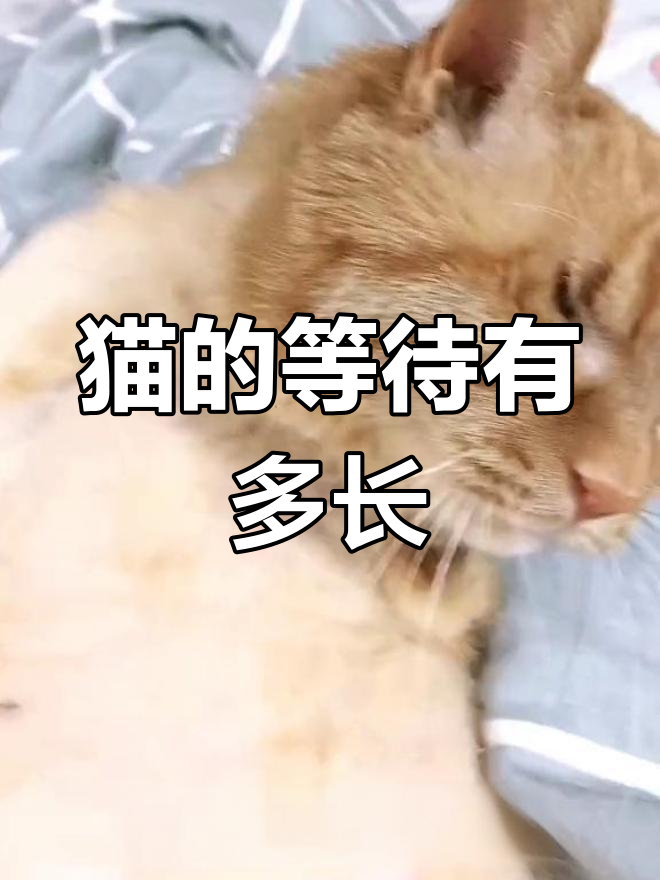 天气热没食欲?来碗酸汤面片,清爽开胃,简单又好吃!