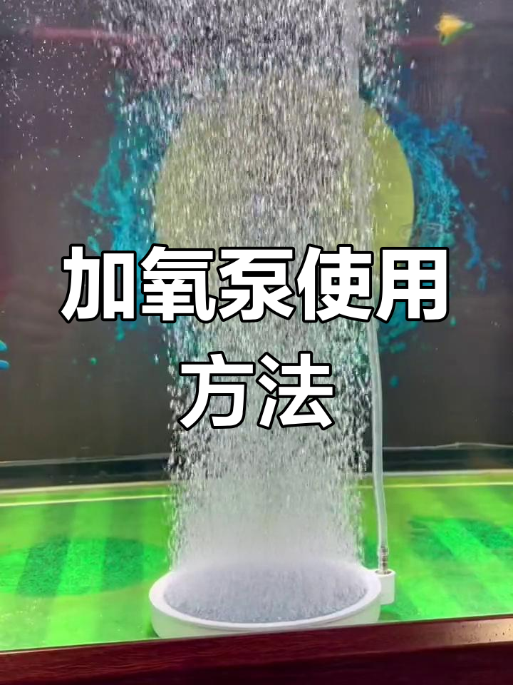 鱼缸加氧泵安装与调节技巧