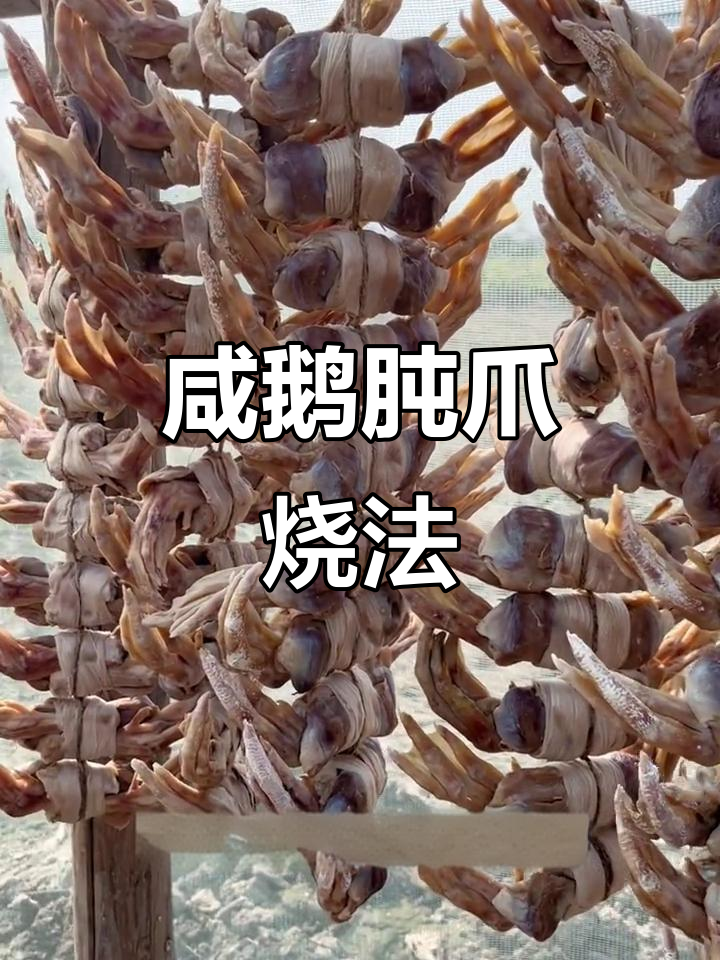 咸鹅肫爪烧法大揭秘,水煮红烧都能轻松搞定