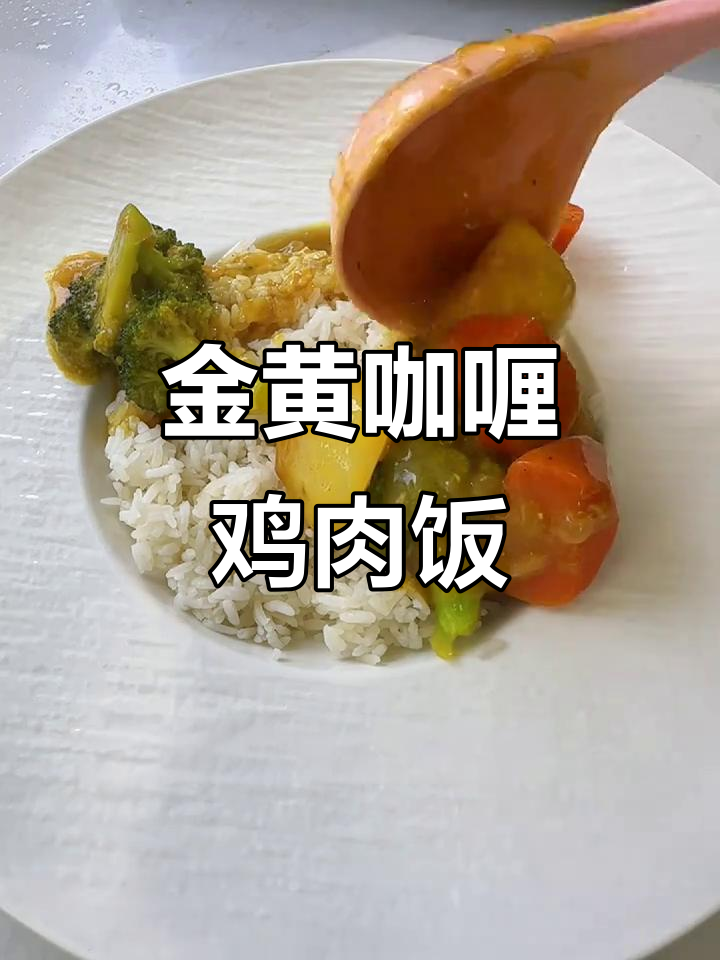 十分钟搞定金黄咖喱鸡肉饭，米饭配浓汤绝了