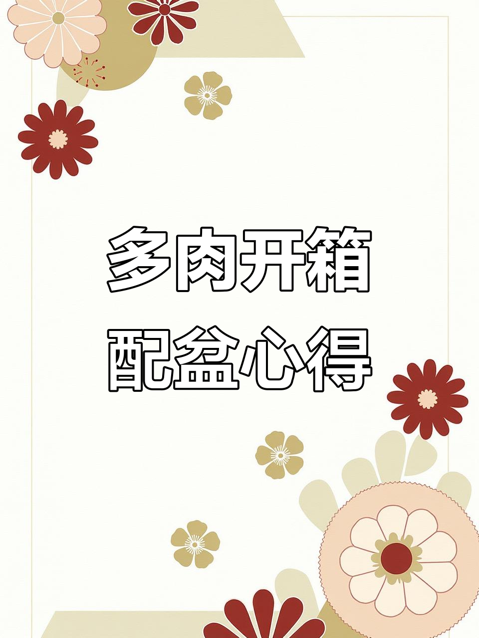 芒果奶多肉开箱，选盆技巧大揭秘