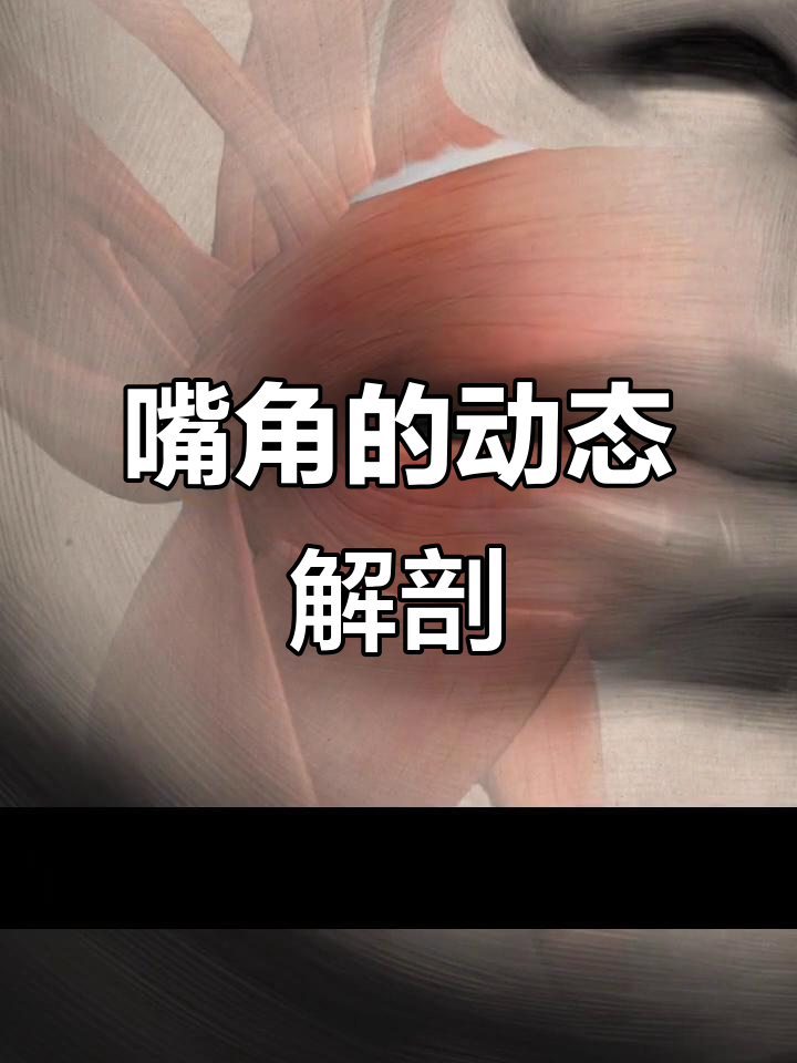 嘴角肌肉结构与阴影变化解析