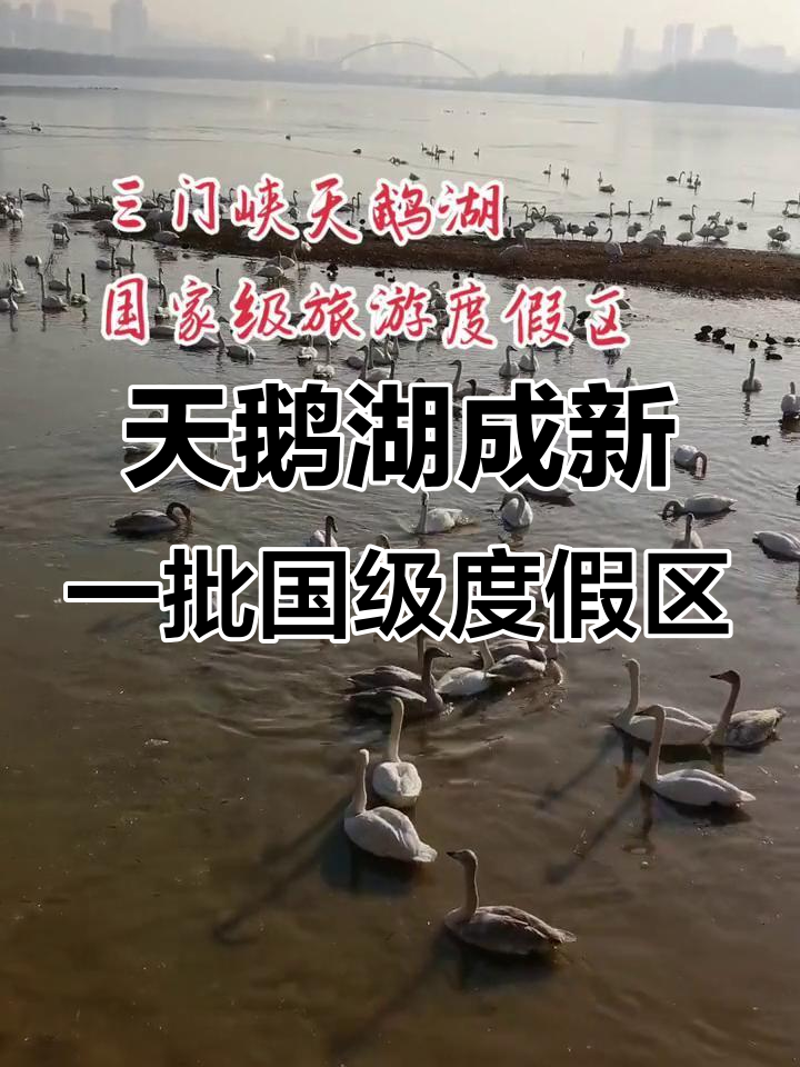 三门峡天鹅湖获评国家级旅游度假区,河南唯一入选