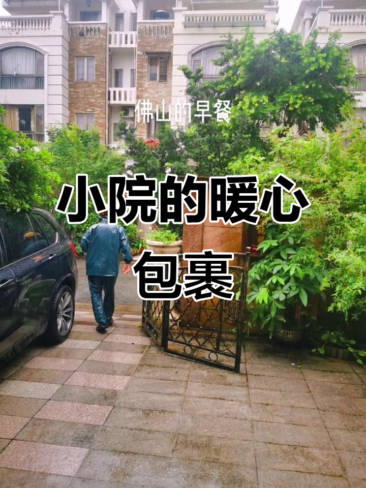 雨中收到快递,包子粥温暖了整个小院