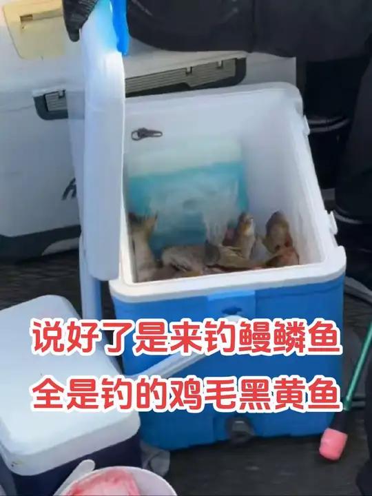 这不是我想钓的鱼种。说好了来钓鳗鳞鱼,结果全钓的黑黄鱼。海钓船钓我要上热门话题短剧钓鱼的乐