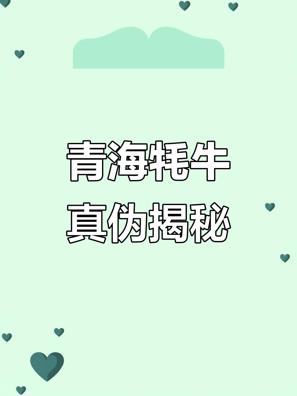 青海牦牛肉真相:80%的人吃的是不是真的?