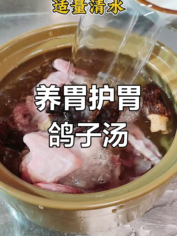 春砂仁黄芪羊肚菌鸽子汤,滋补养胃的春季必备