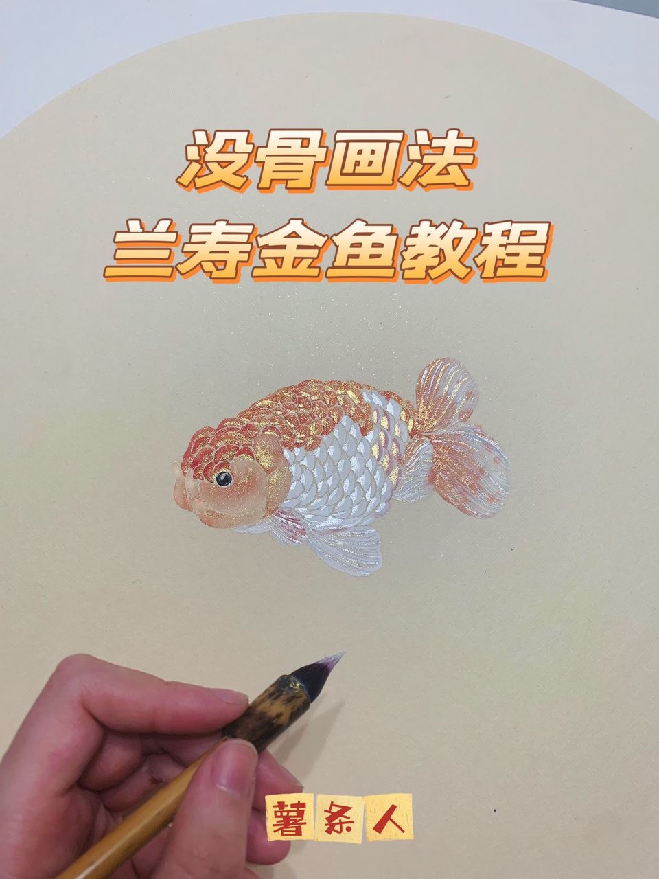 鸿运当头～兰寿金鱼 国画教程