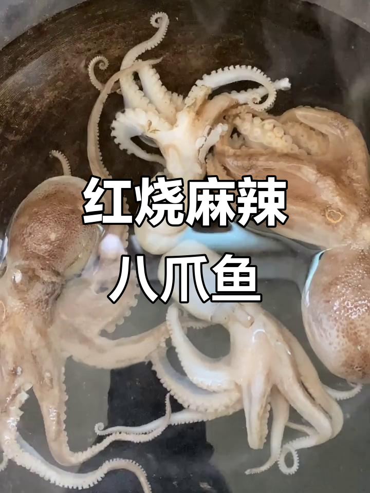 麻辣八爪鱼,简单又美味!教你做色香味俱全的红烧八爪鱼