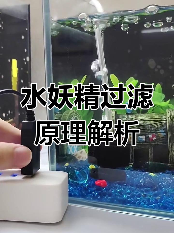 小型鱼缸必备水妖精过滤器,原理揭秘